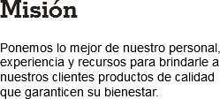 Misión Ponemos lo mejor de nuestro personal, experiencia y recursos para brindarle a nuestros clientes productos de calidad que garanticen su bienestar.